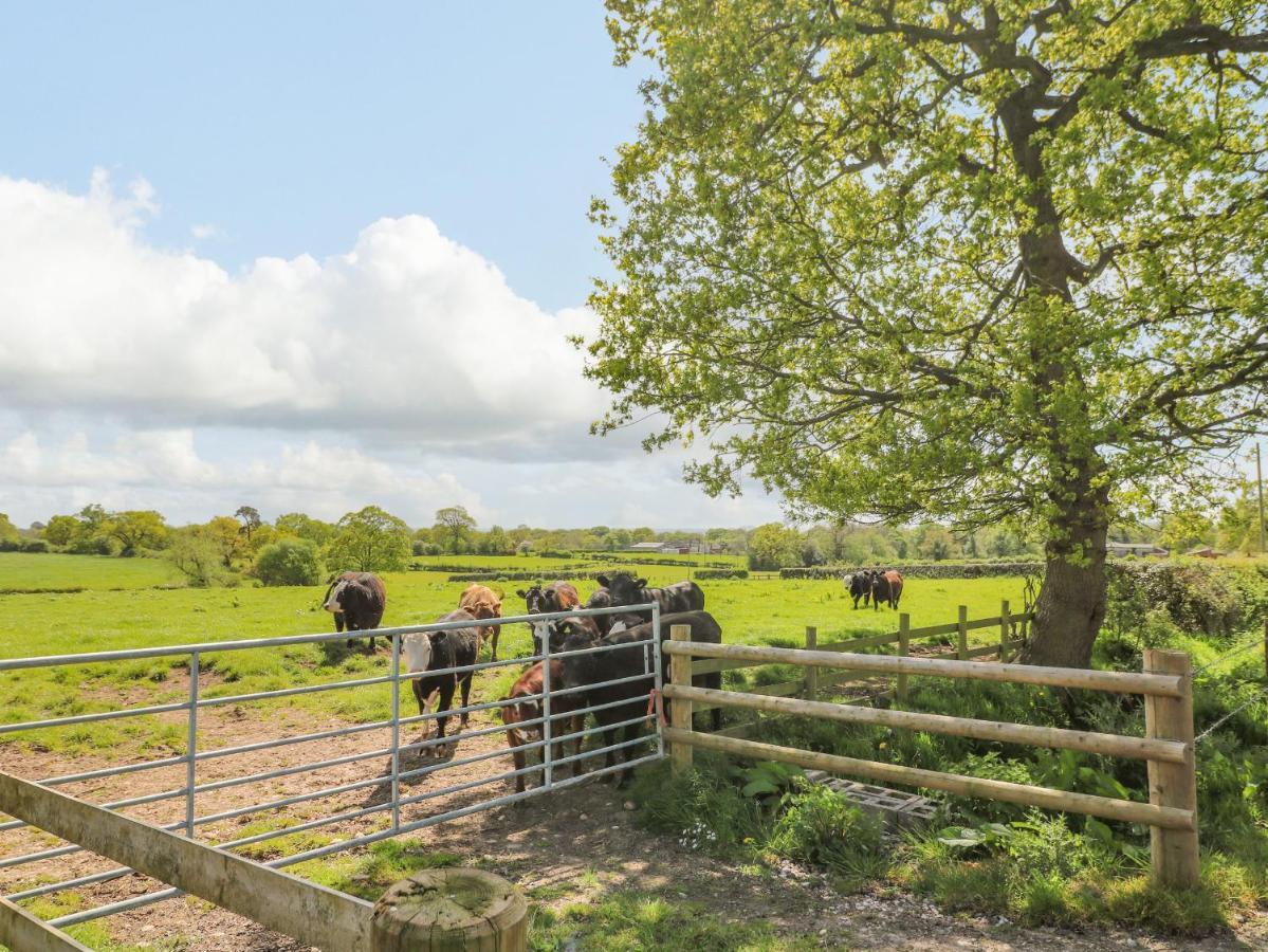 Acorn Lodge Stafford Eksteriør billede