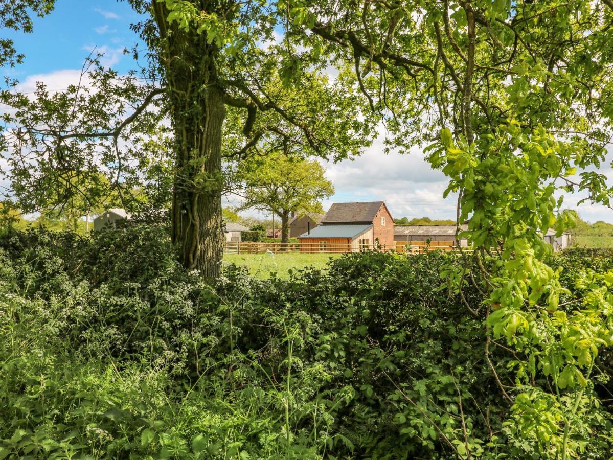 Acorn Lodge Stafford Eksteriør billede