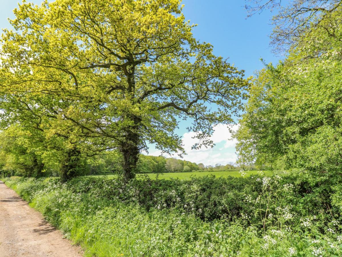 Acorn Lodge Stafford Eksteriør billede